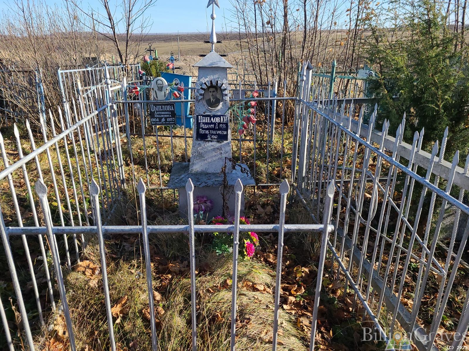 Циплов К. И.