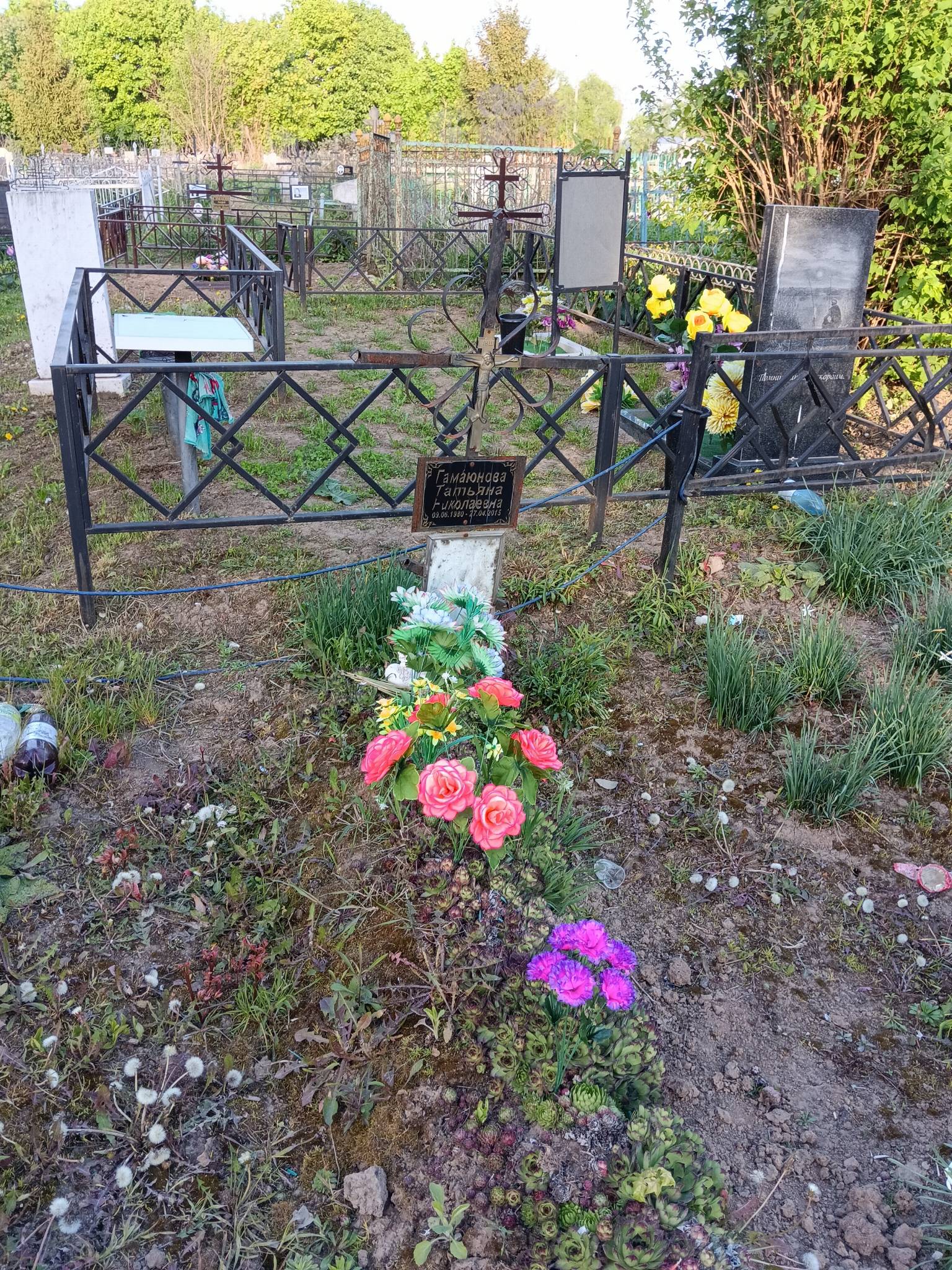 Гамаюнова Татьяна Николаевна
