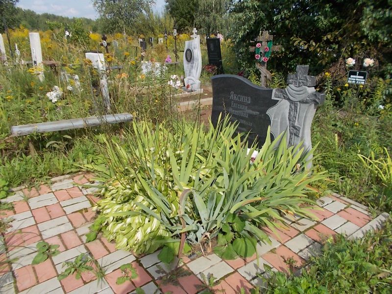 Яксина Евгения Ивановна