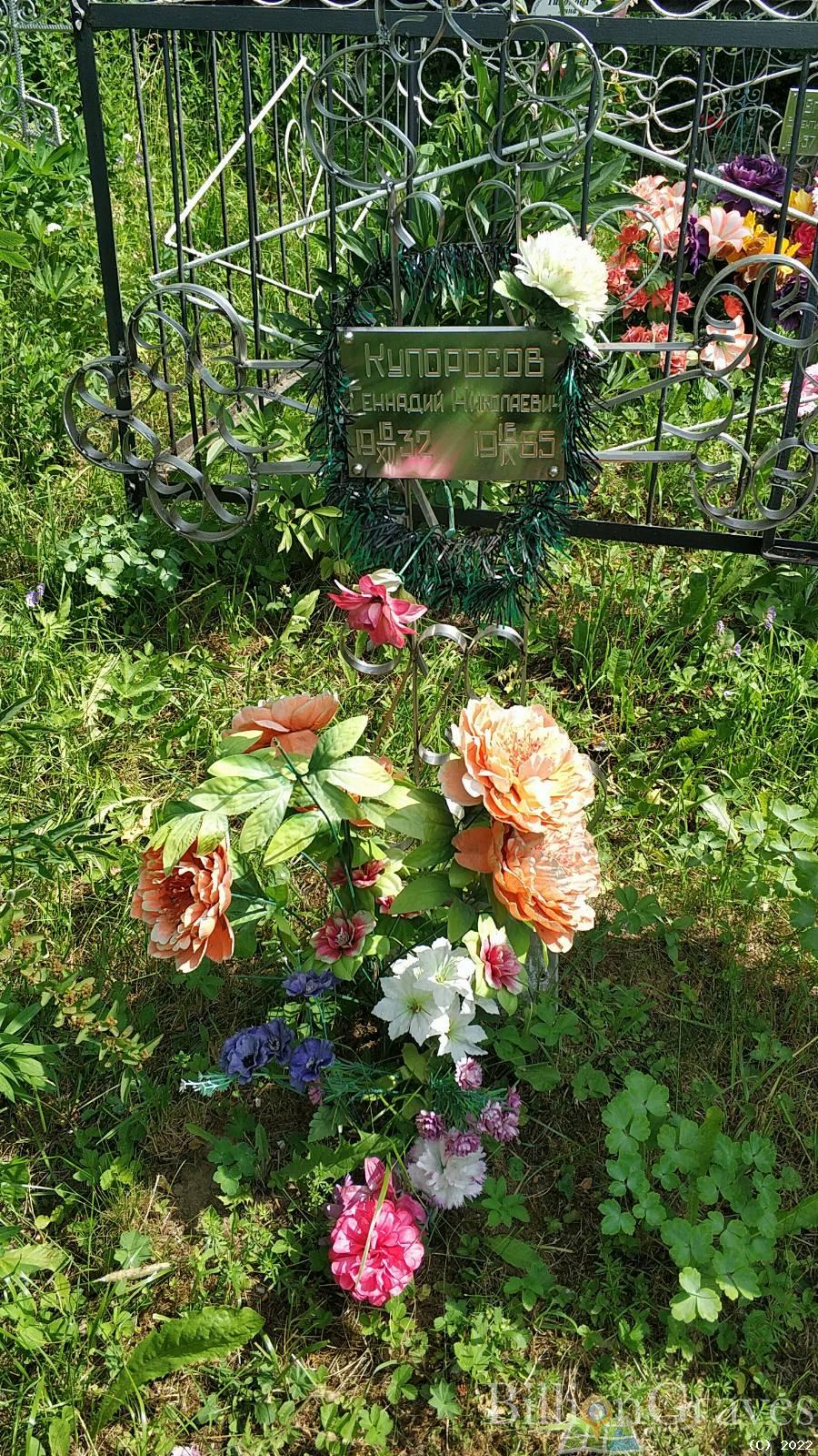 Купоросова Александра Васильевна