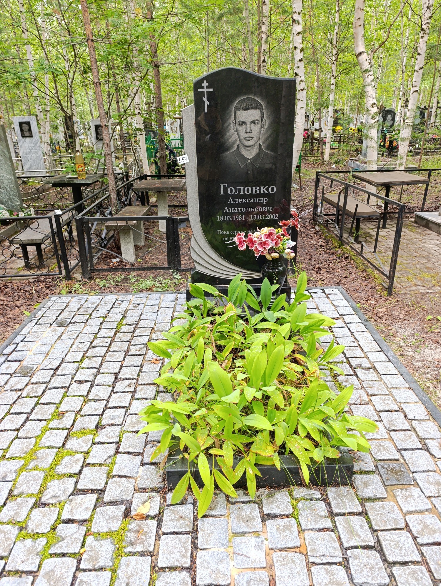 Головко Александр Анатольевич