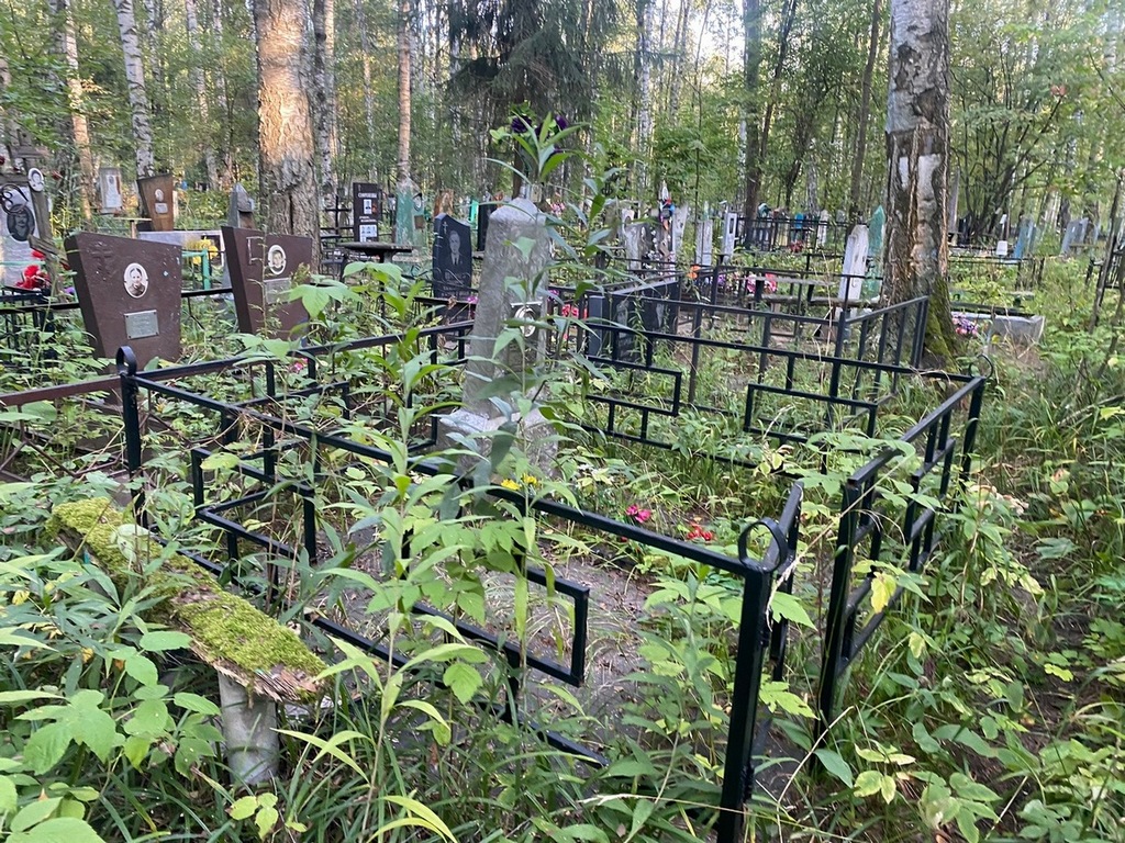 Воронина Серафима Ивановна