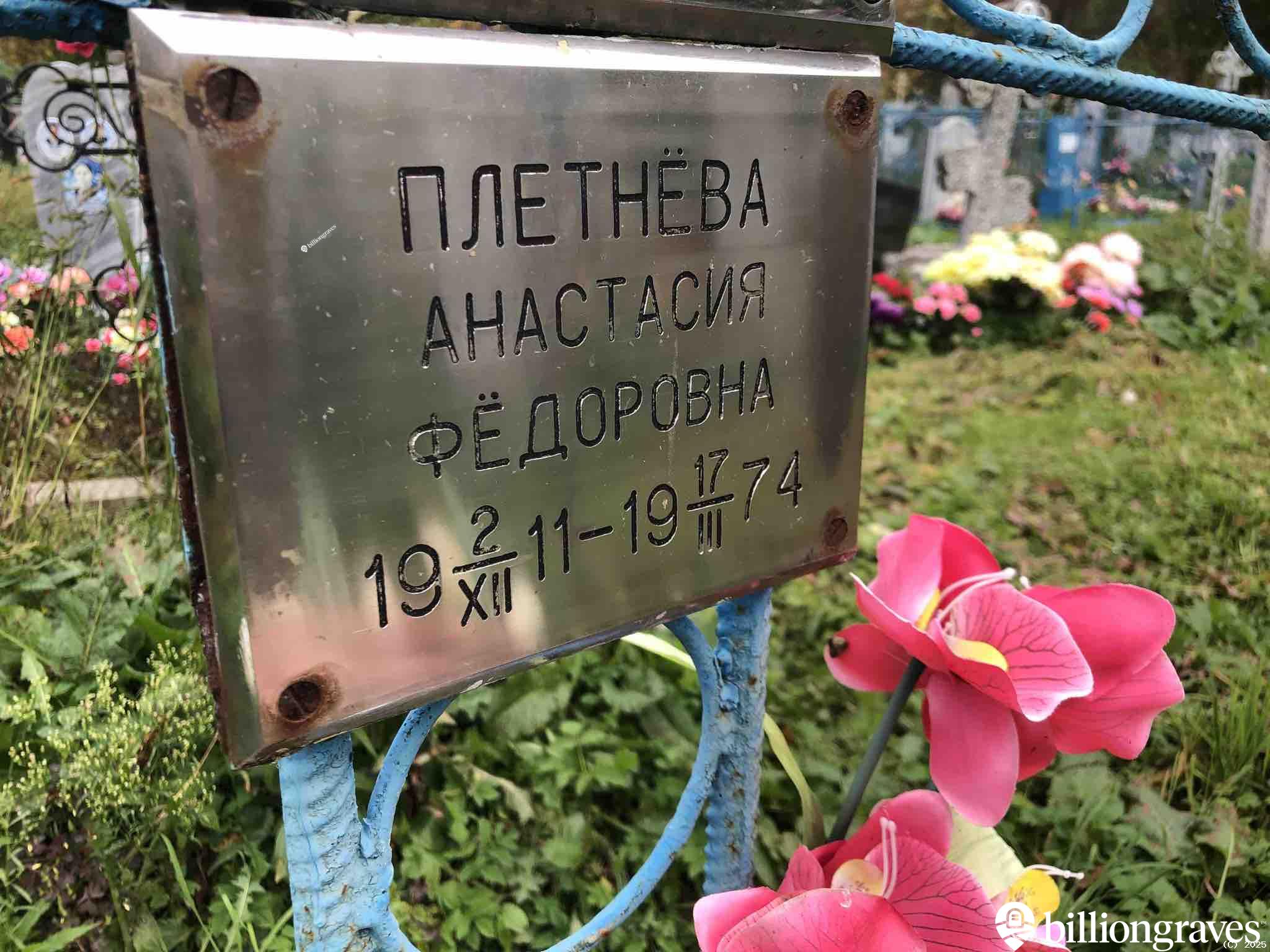 Плетнëва Анастасия Фëдоровна