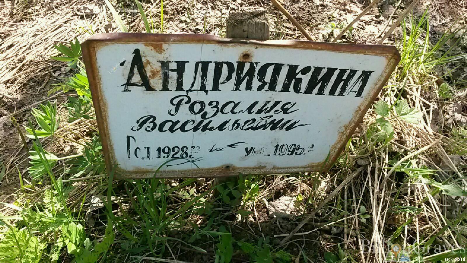 андриякина розалия васильевна