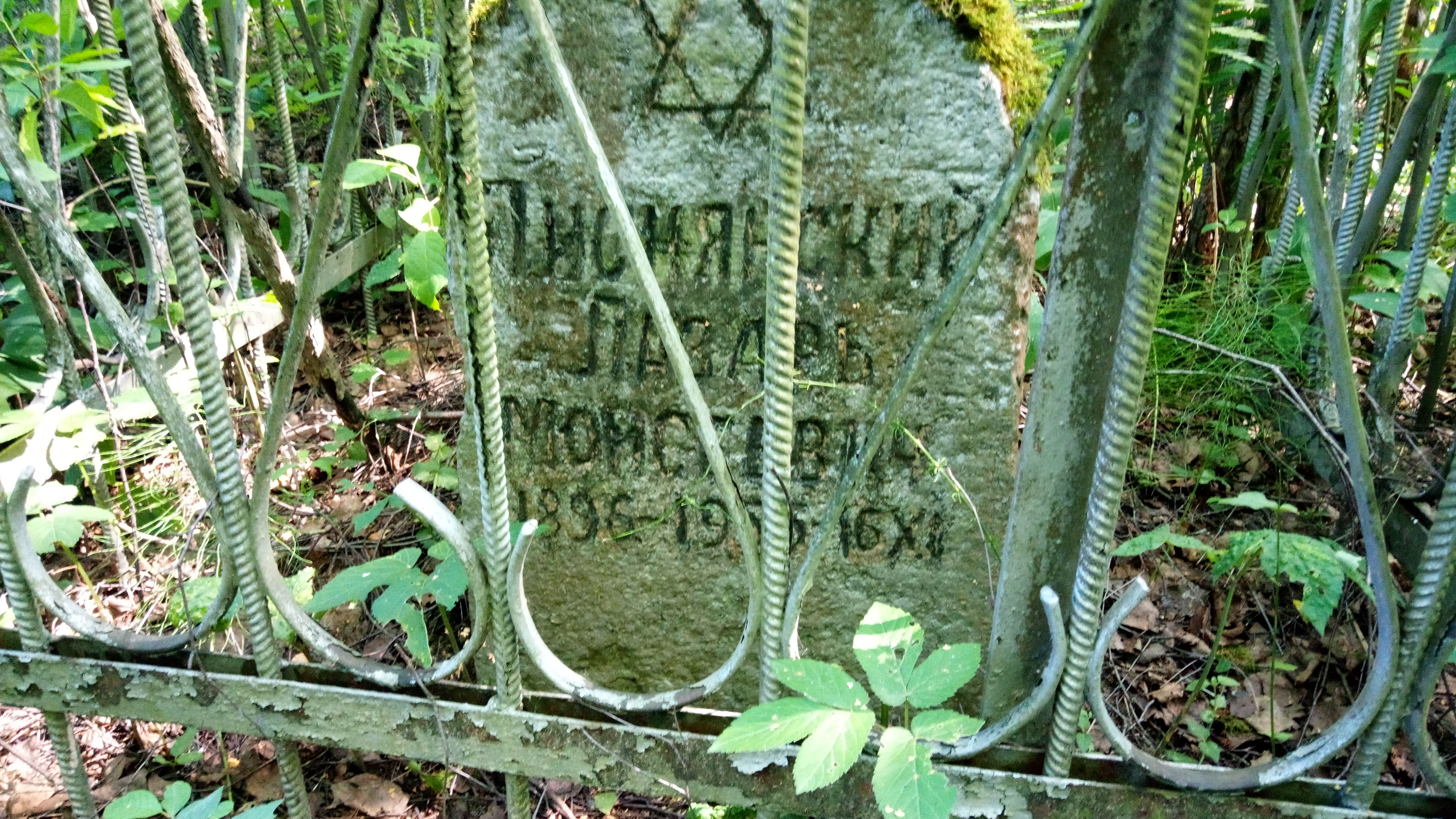 Писнянский Лазарь Моисеевич
