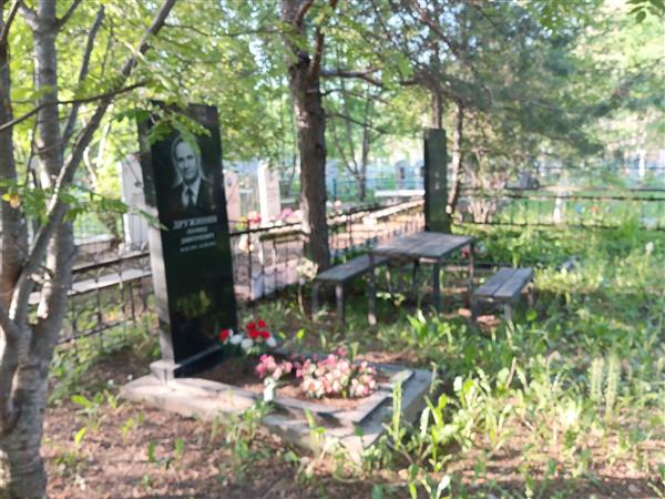 Дружинин Леонид Дмитриевич