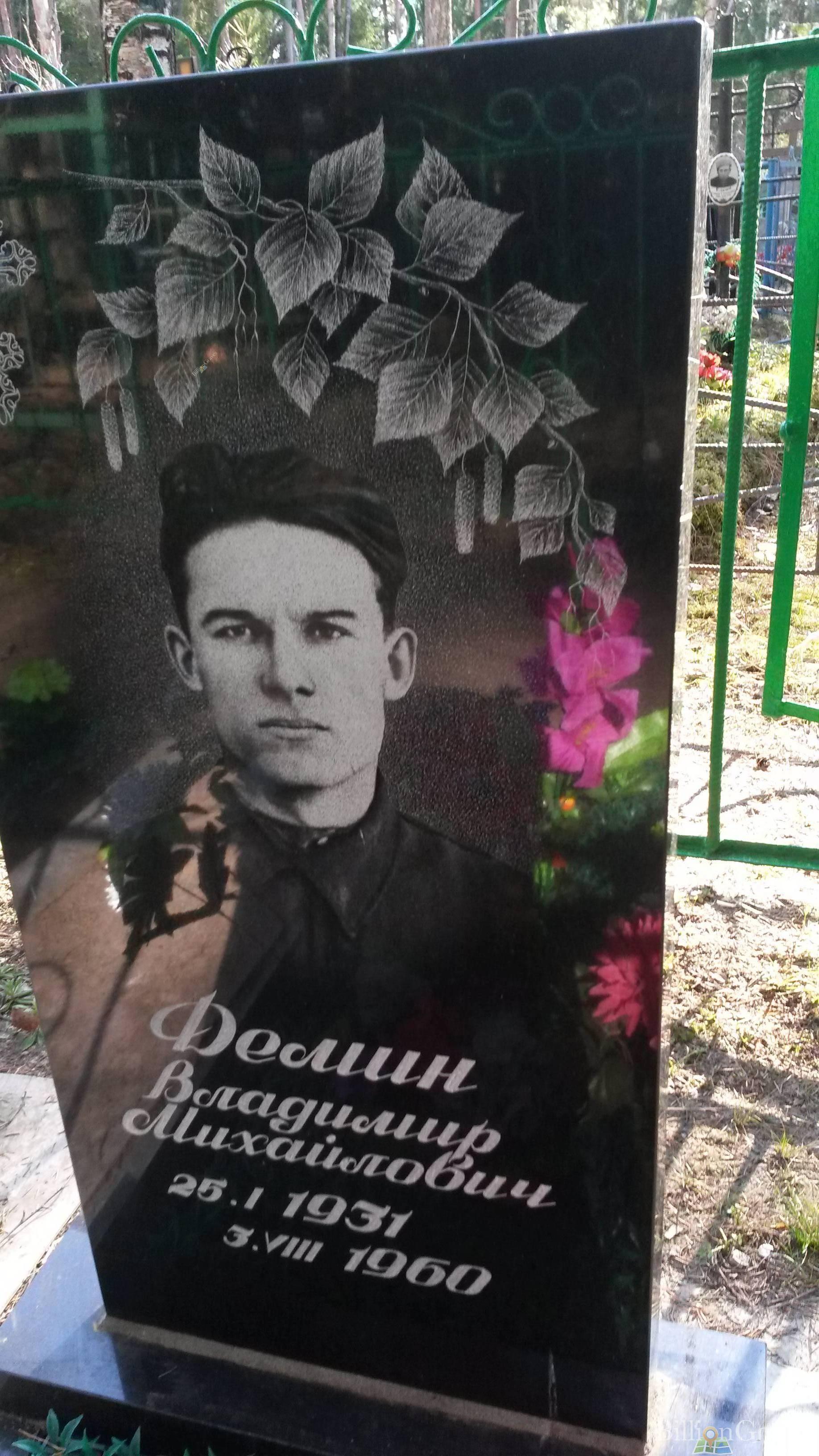 Демин Владимир Михайлович
