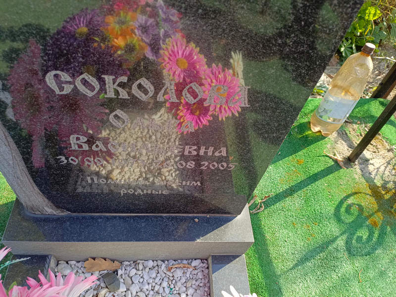 Соколова