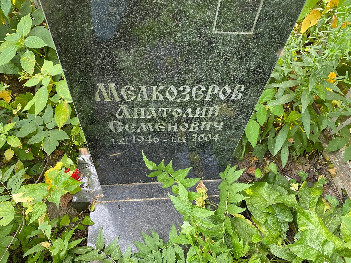 Мелкозеров