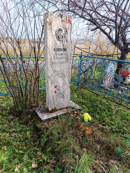 Волков Дмитрий Иванович