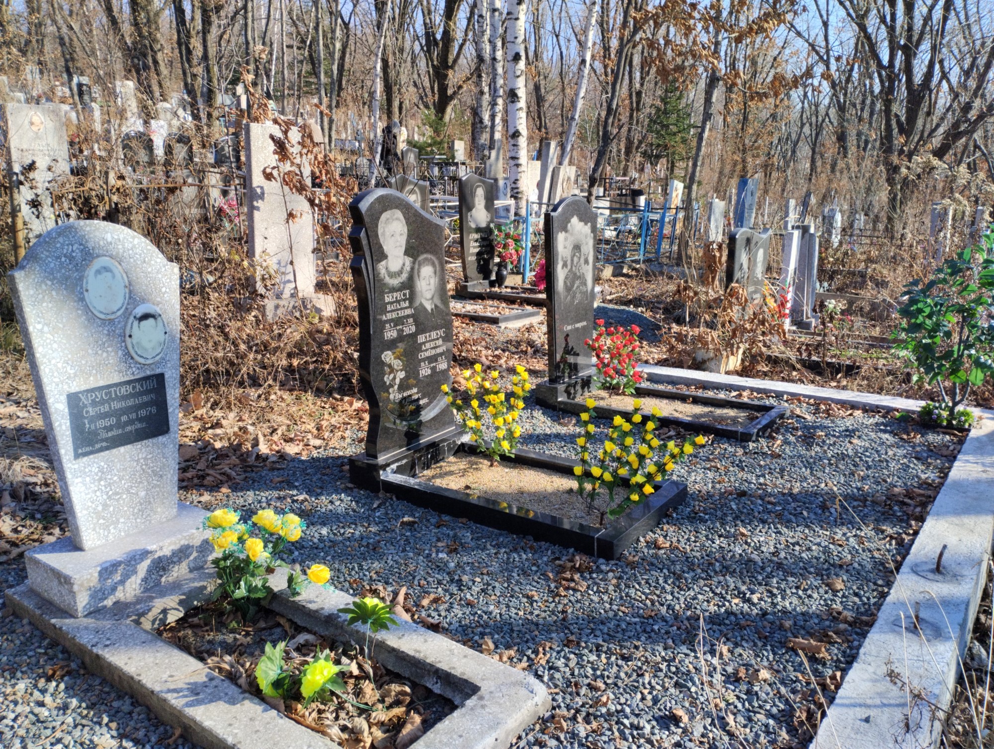 Петлеус Алексей Семенович