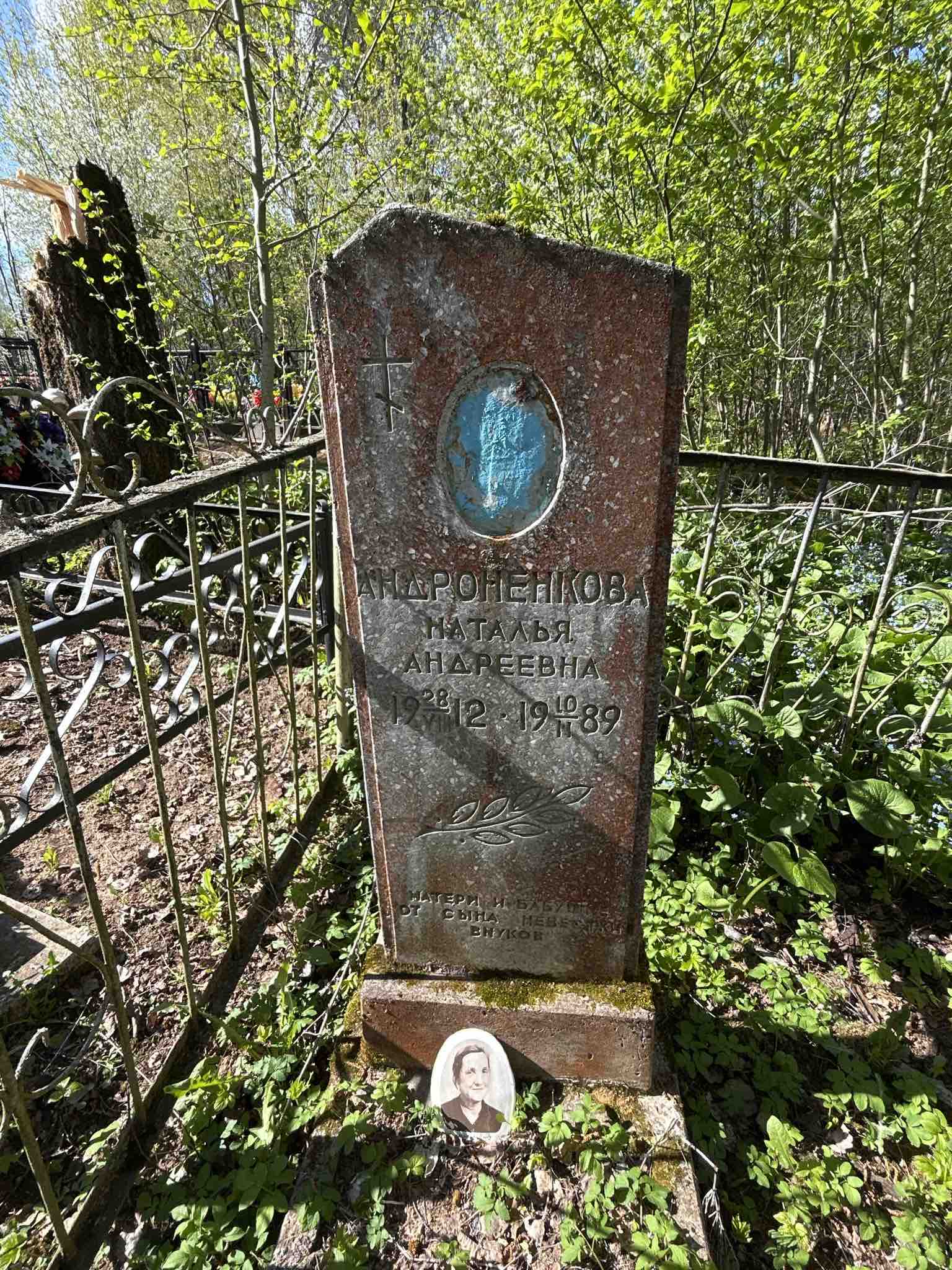 Андроненкова Наталья Андреевна