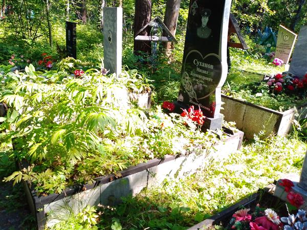 Суханов Михаил Александрович