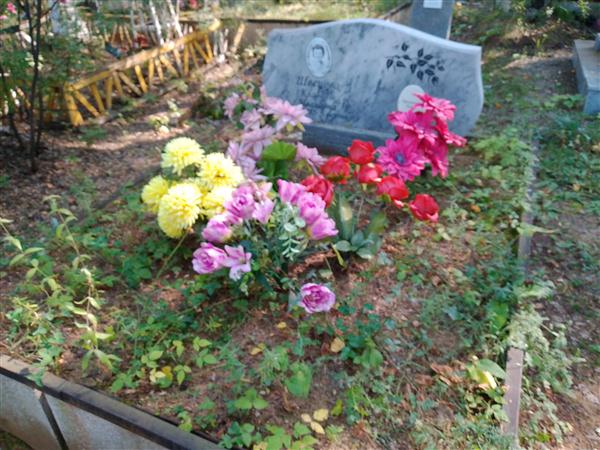 Швецова Клавдия Ивановна