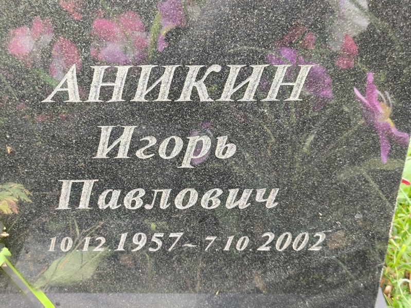 Аникин