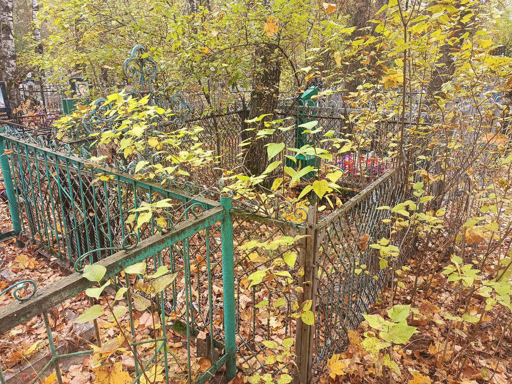 Курылев Дмитрий Федорович