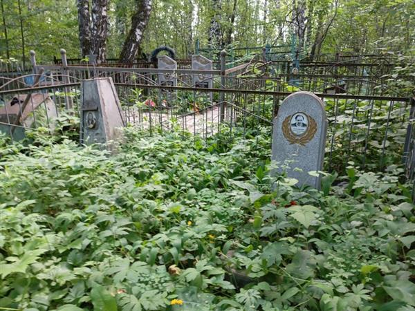 Богомолов Владимир Николаевич