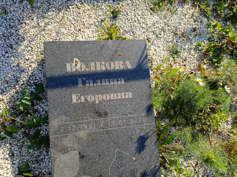 Волкова