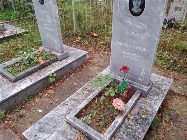 Шитова Елена Константиновна