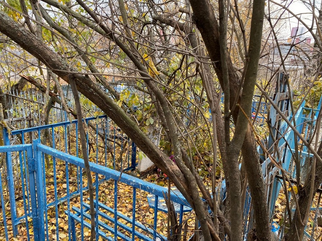 Лебедев Анатолий Васильевич