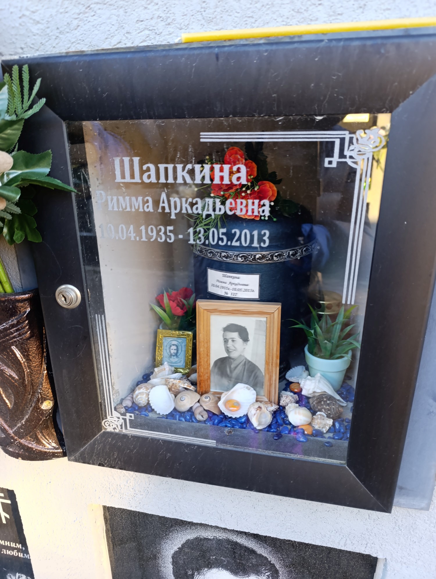 Шапкина Римма Аркадьевна
