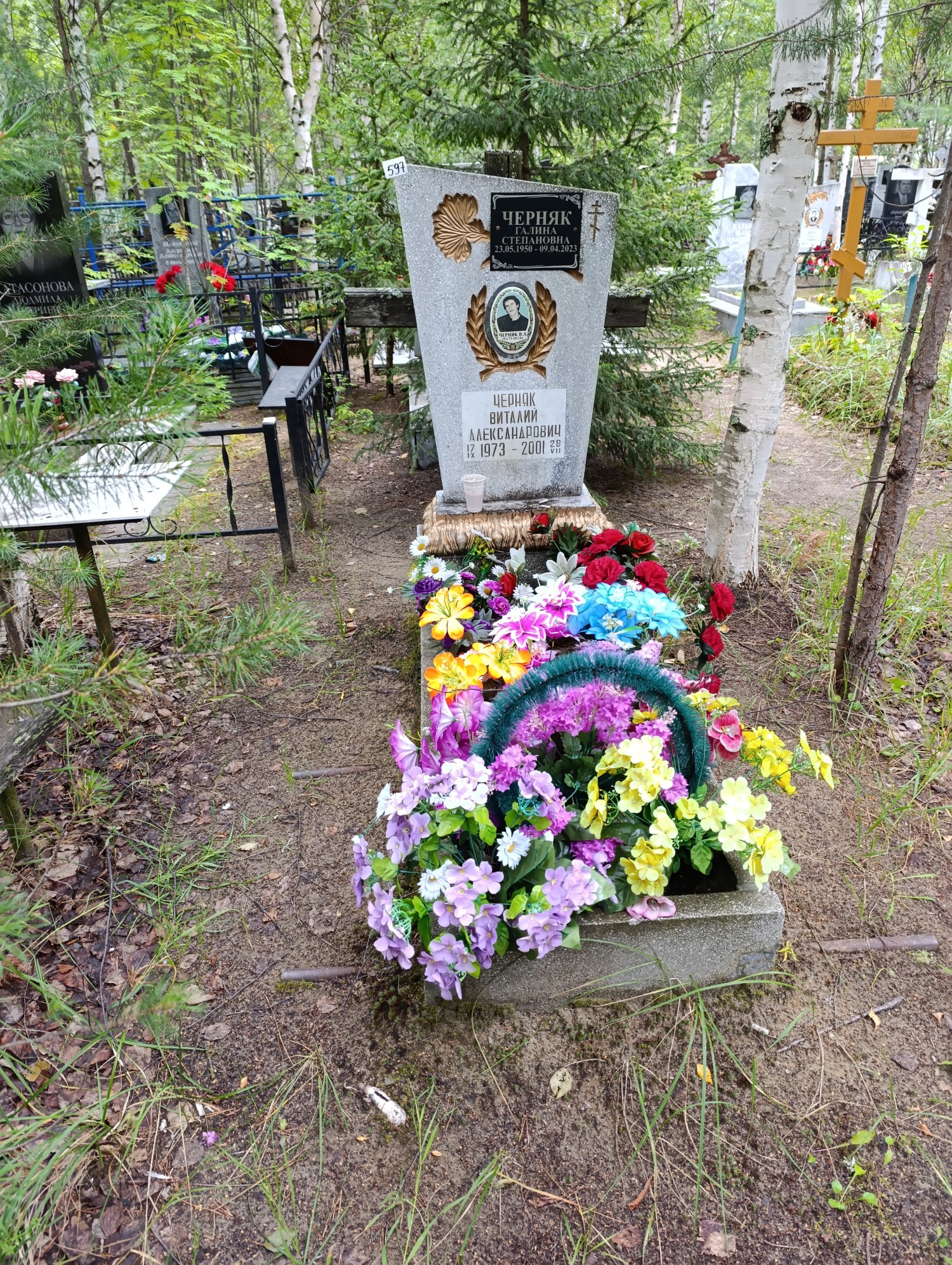 Черняк Виталий Александрович