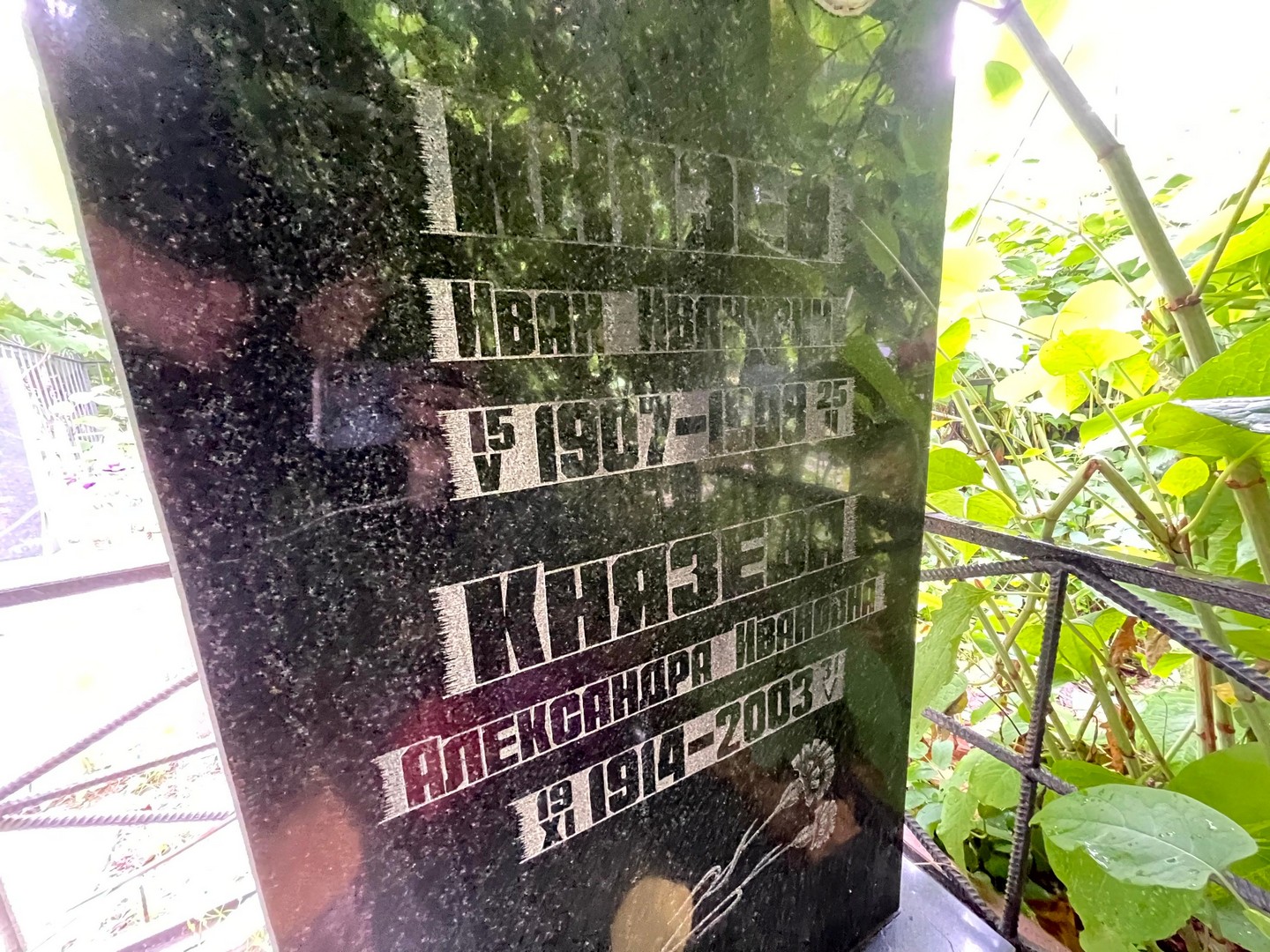 Князева Александра Ивановна