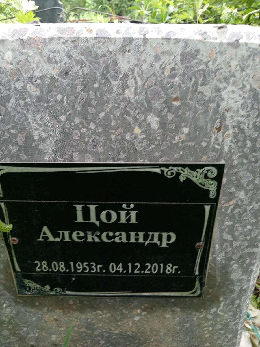 Цой Александр