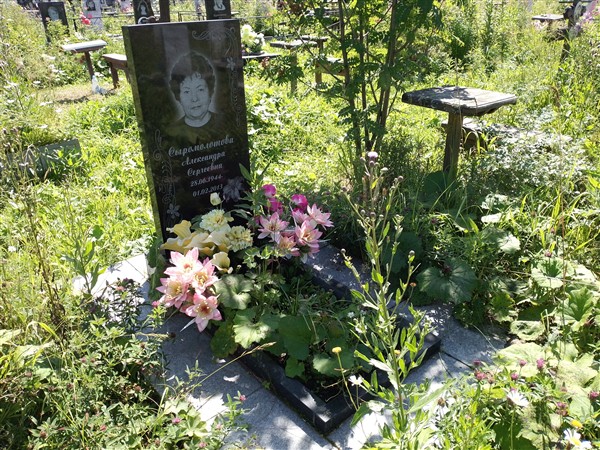 Сыромолотова Александра Сергеевна