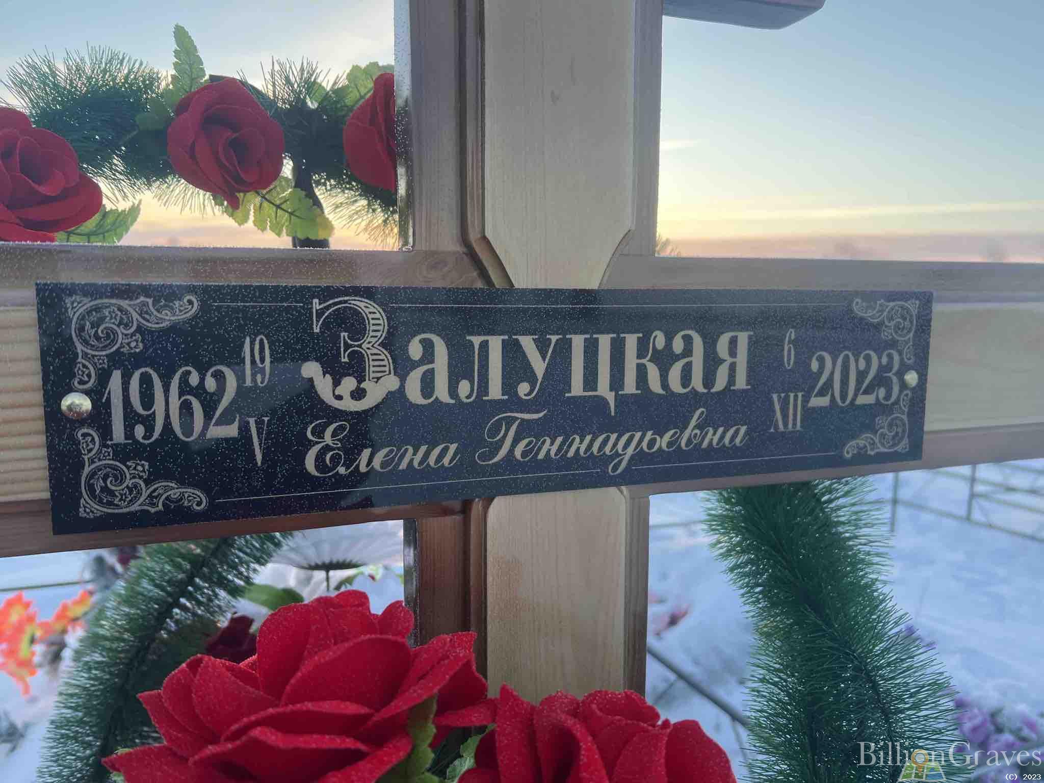 Залуцкая Елена Геннадьевна