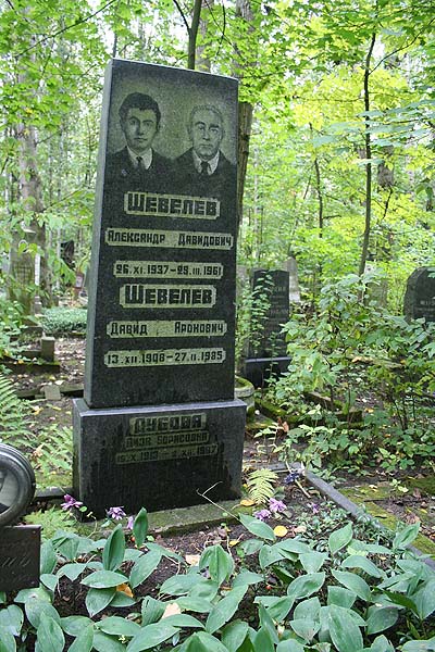 Шевелев Александр Давидович