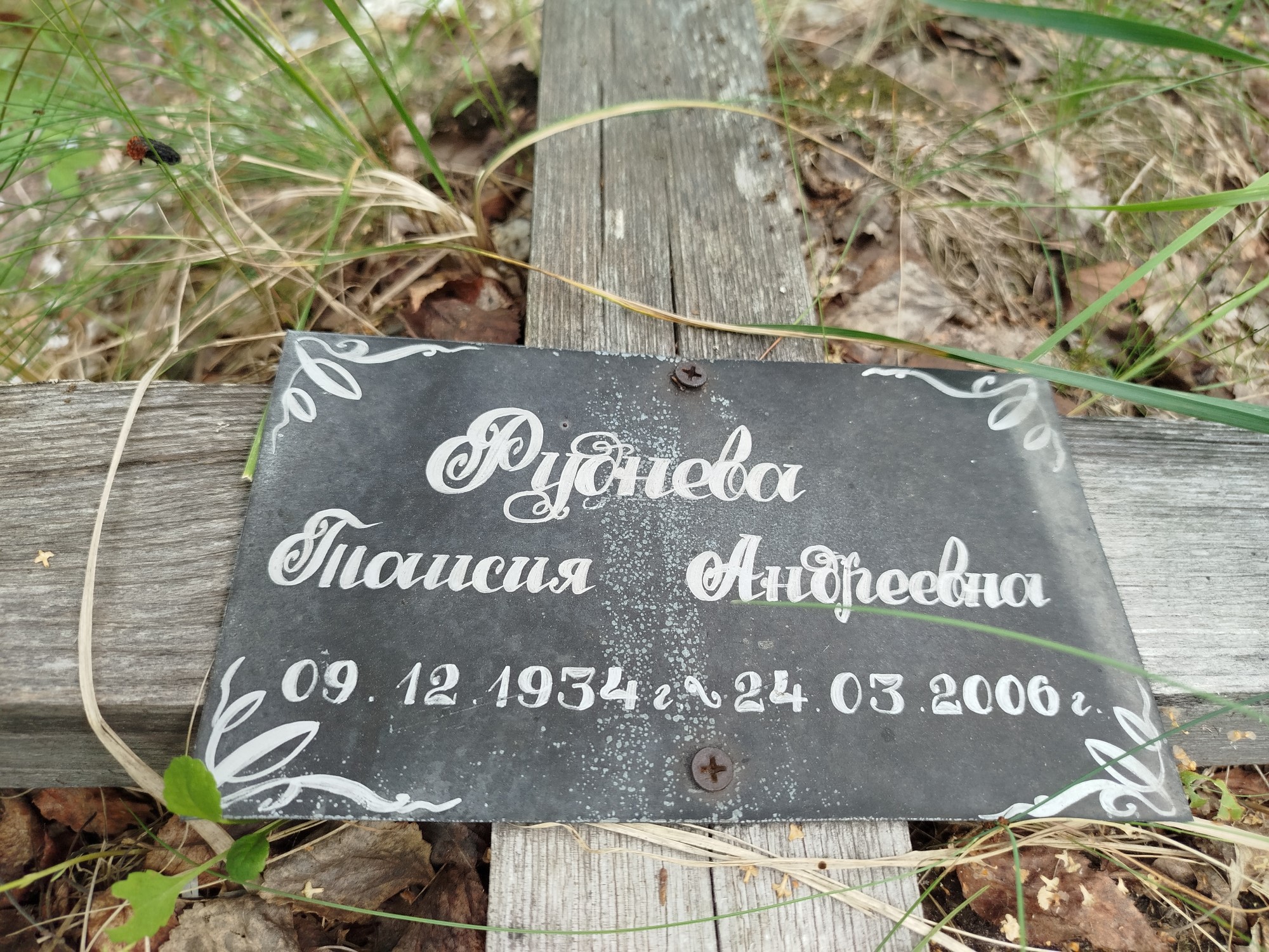 Руднева Таисия Андреевна