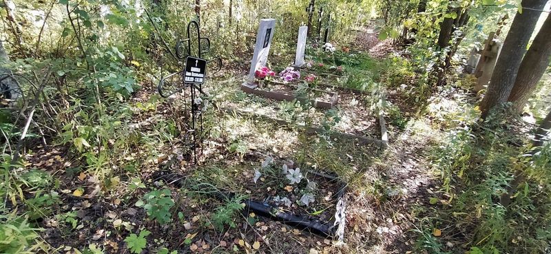 Панова Анна Васильевна