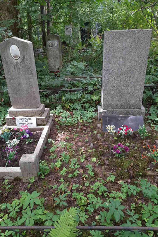 Жуков Е. М.