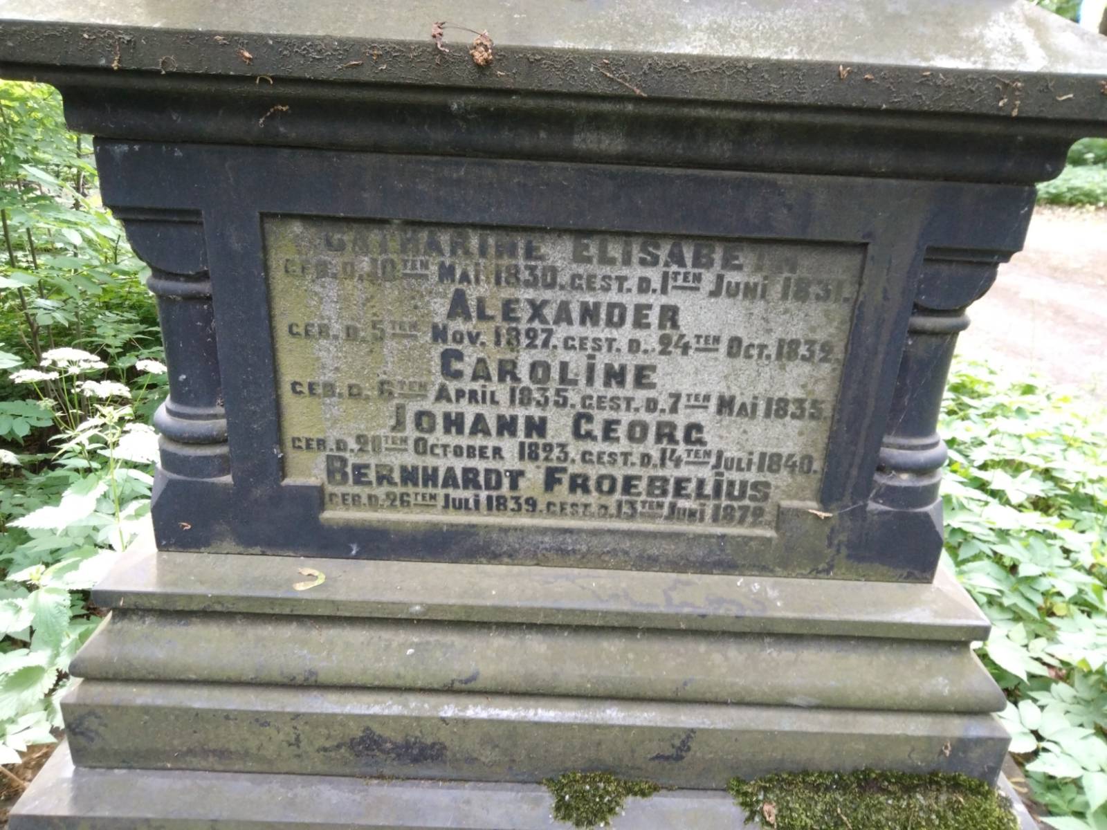 Froebelius Alexander