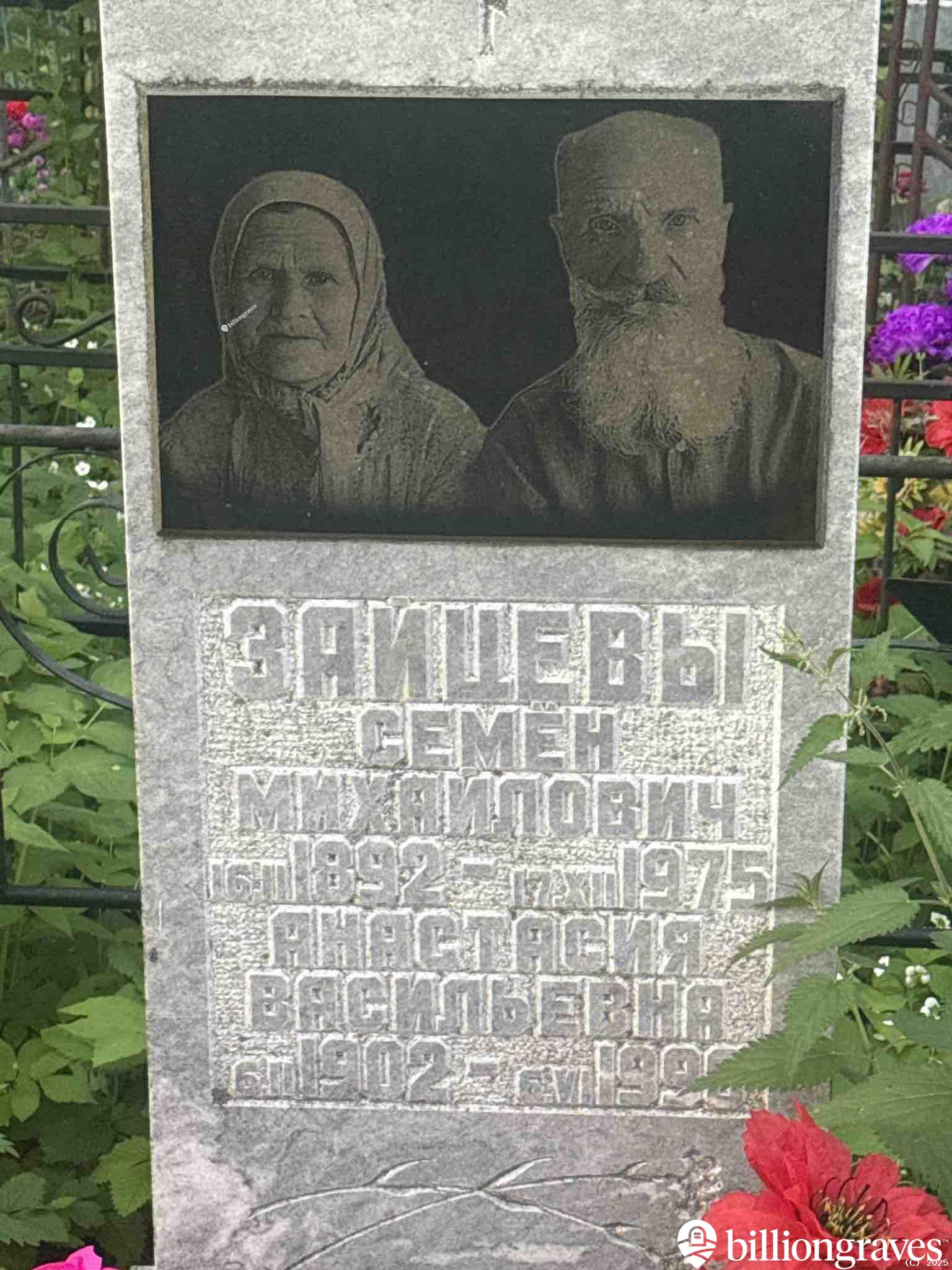 Зайцева Анастасия Васильевна