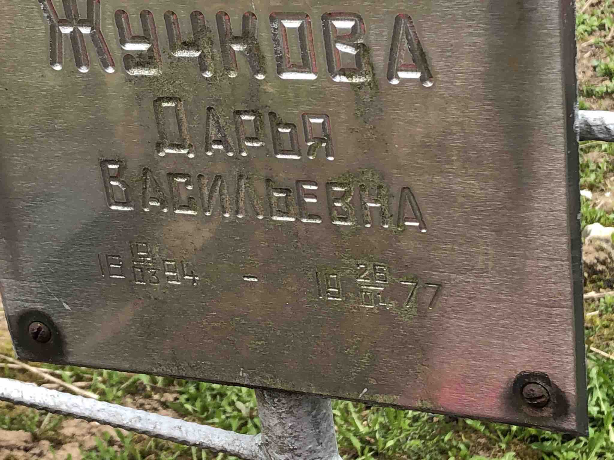 Жучкова Дарья Васильевна