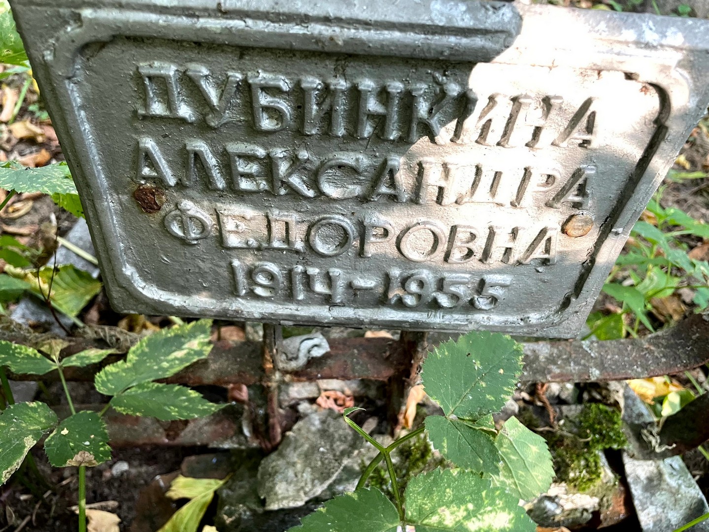 Дубинкина Александра Федоровна