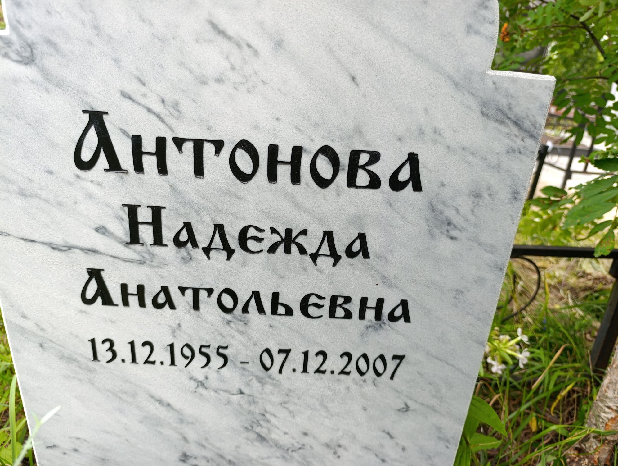 Антонова Надежда Анатольевна