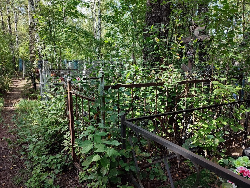 Балашов Николай Федорович