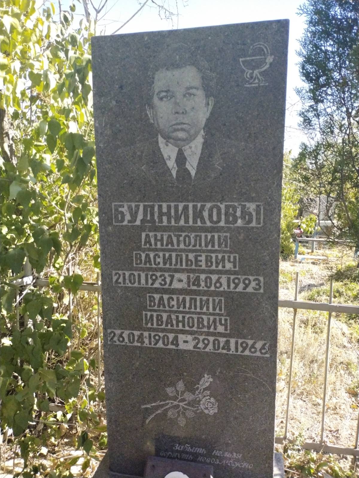 Будников Анатолий Васильевич