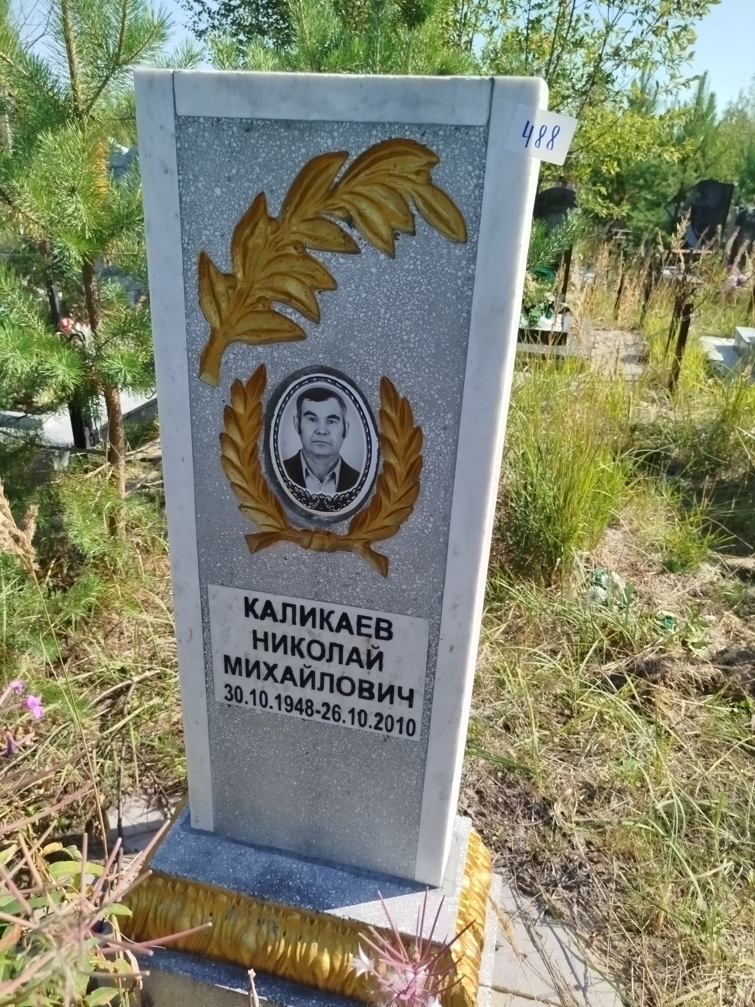 Каликаев Николай Михайлович