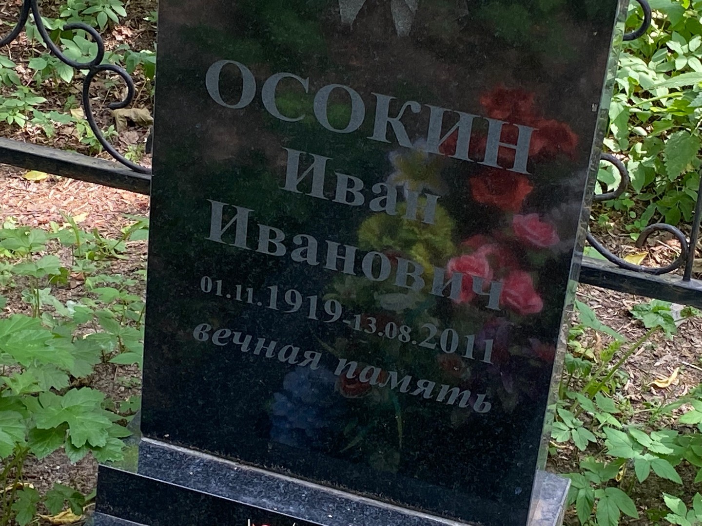 Осокин