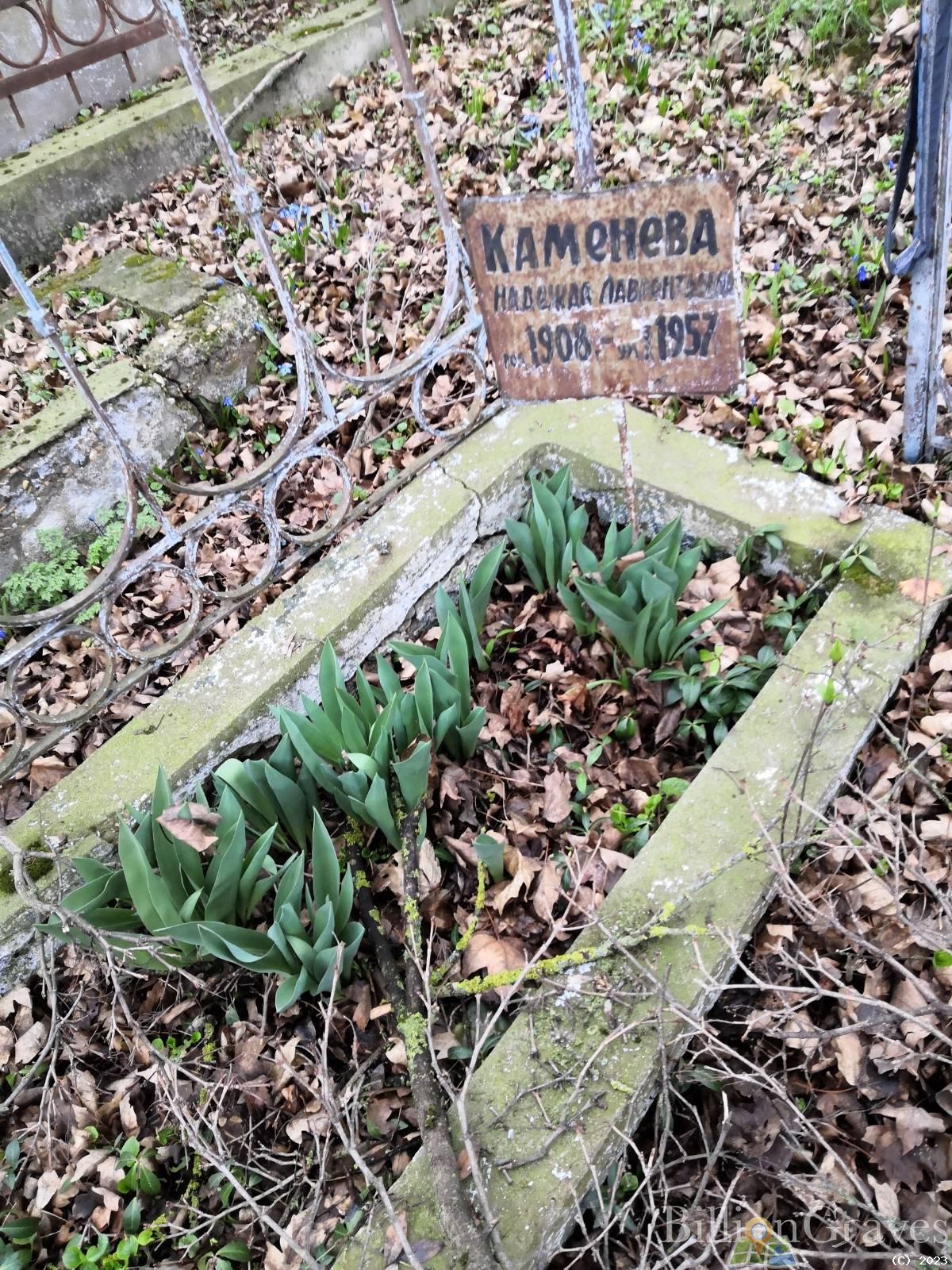 Каменева Надежда Лаврентьевна