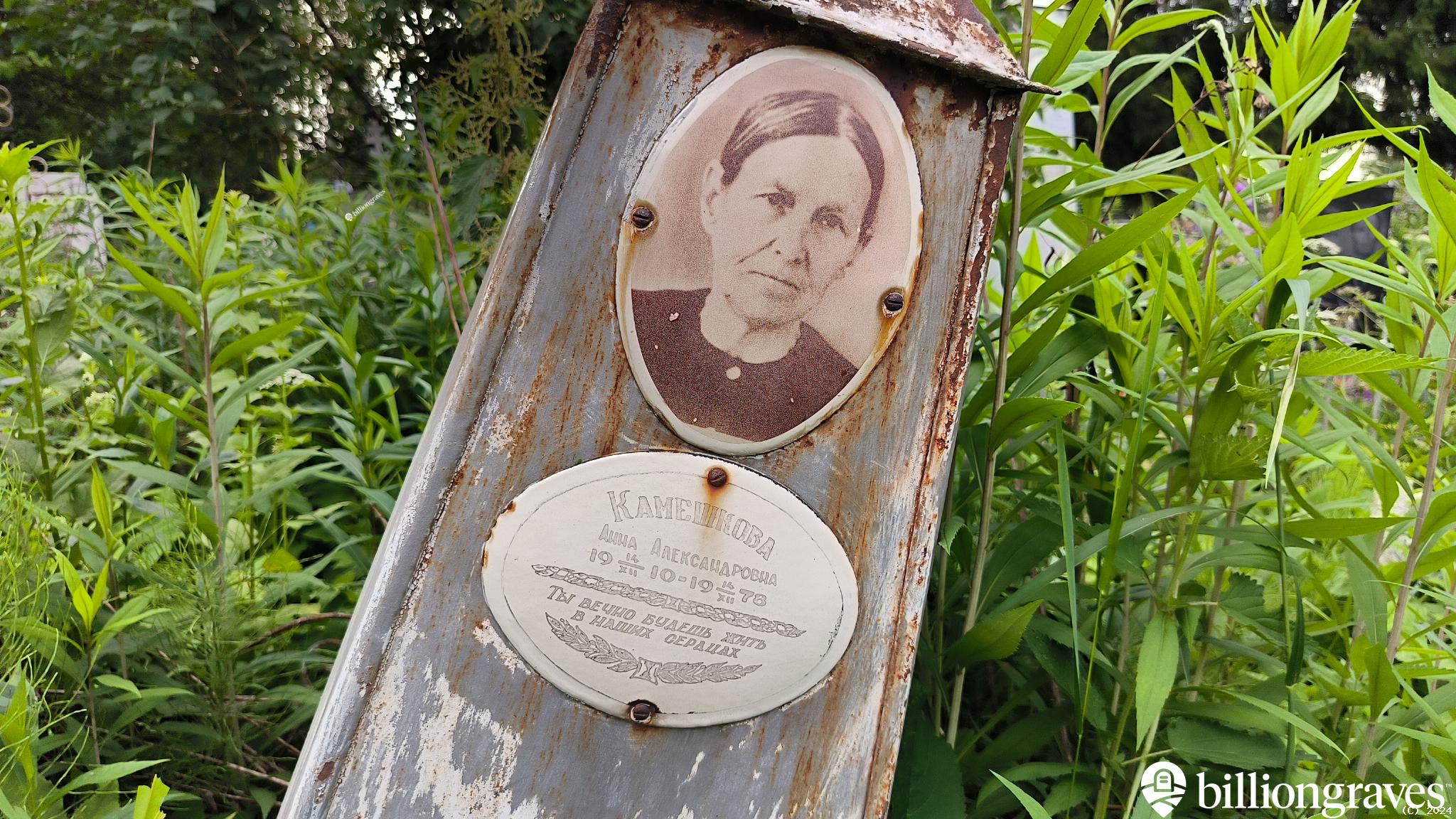 Камешкова Анна Александровна
