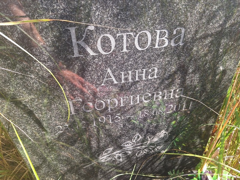 Котова