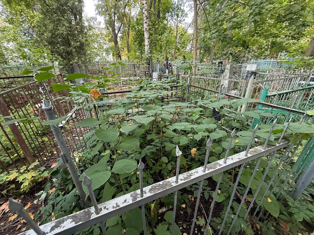Герасимова Пелагея Алексеевна
