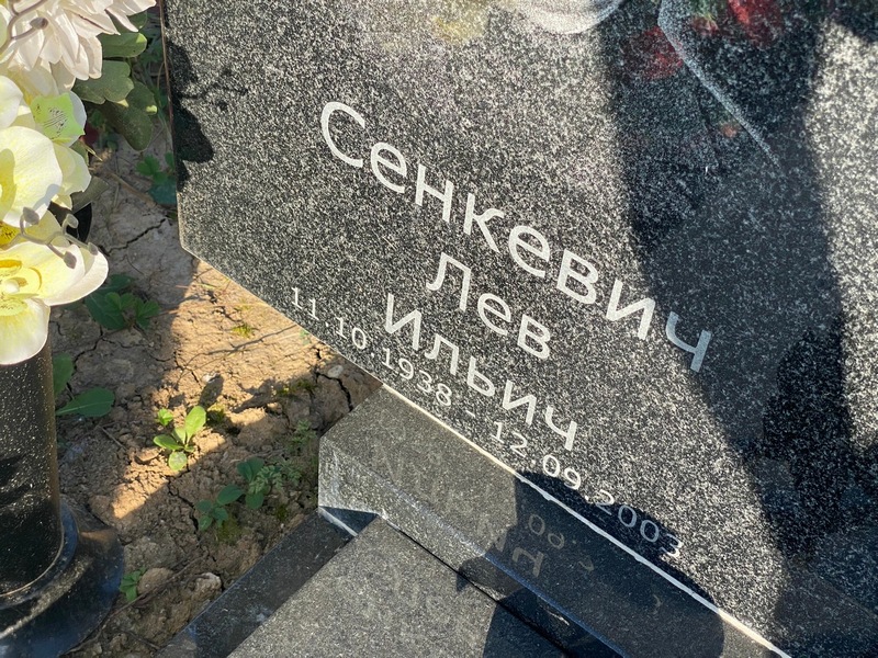 Лев Сенкевич Ильич