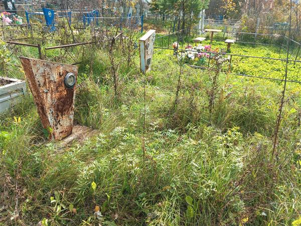 Гапон Николай Митрофанович