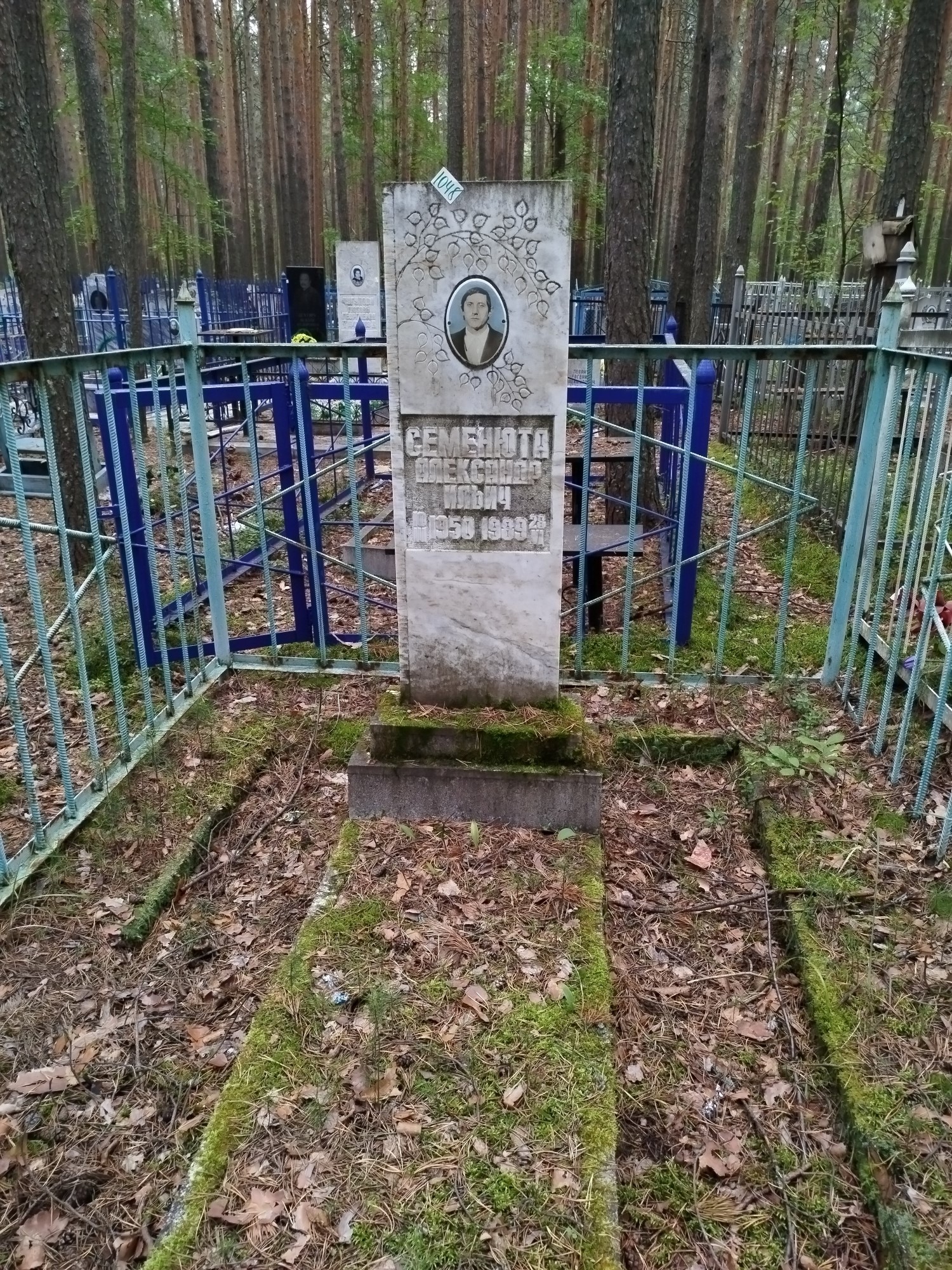 Семенюта Александр Ильич